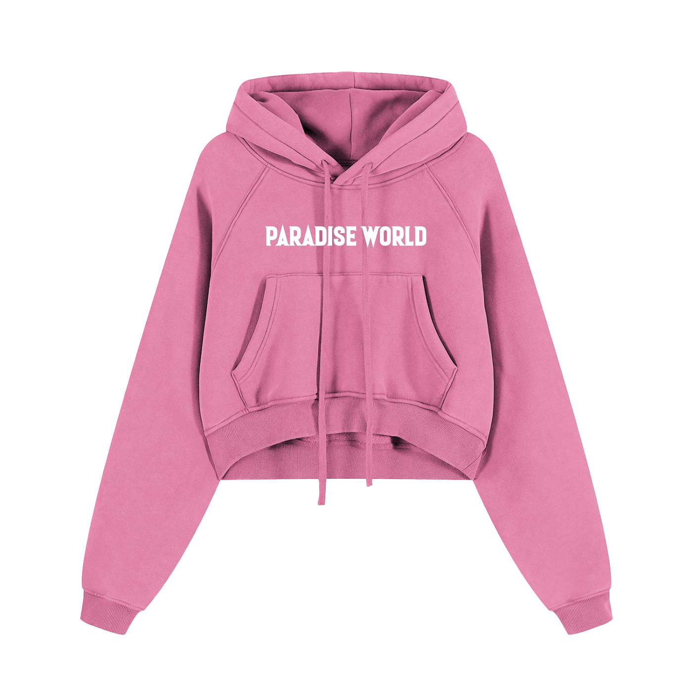 Paradise World Snow Washed Cropped Hoodie